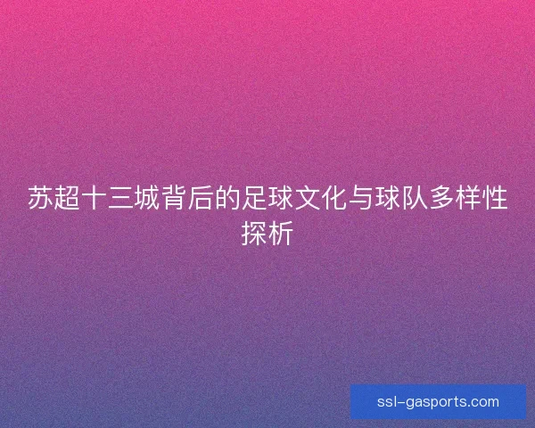 苏超十三城背后的足球文化与球队多样性探析